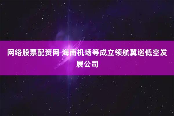 网络股票配资网 海南机场等成立领航翼巡低空发展公司