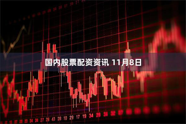 国内股票配资资讯 11月8日