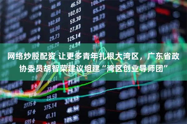 网络炒股配资 让更多青年扎根大湾区，广东省政协委员胡智荣建议组建“湾区创业导师团”
