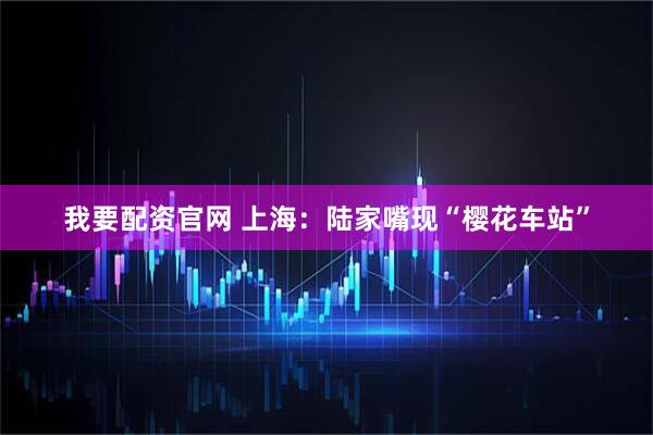 我要配资官网 上海：陆家嘴现“樱花车站”