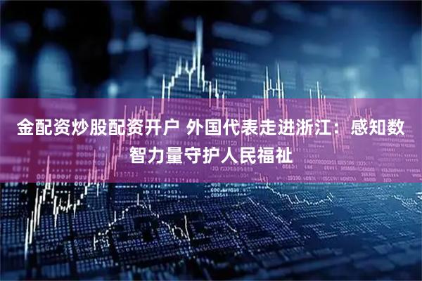 金配资炒股配资开户 外国代表走进浙江：感知数智力量守护人民福祉